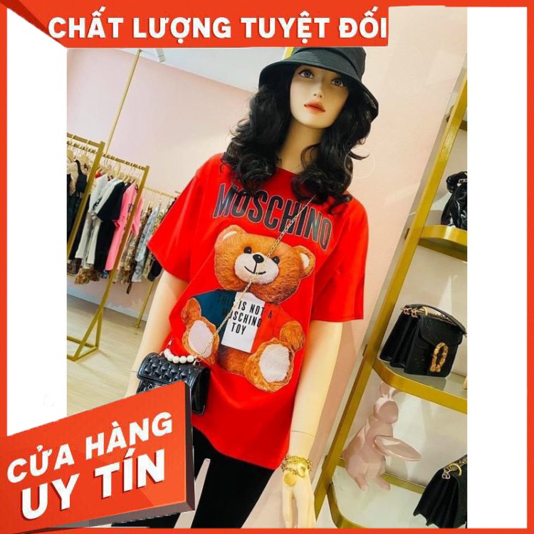 Áo thun in hình gấu vàng siêu đẹp / áo phông in hình gấu vàng hot trend 2021