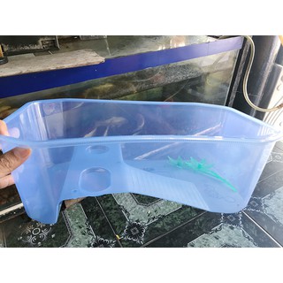 BỂ NUÔI RÙA KIỂNG 40x23x13CM