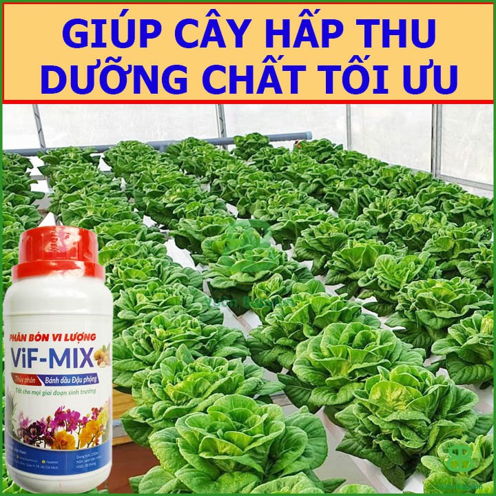 Phân Bánh Dầu Đậu Phộng chai 250ml