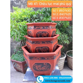 Chậu gốm lục mai phú quý ii chậu gốm ii chậu trồng cây