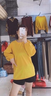 Áo pull tay bồng