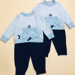 Set bộ cá heo