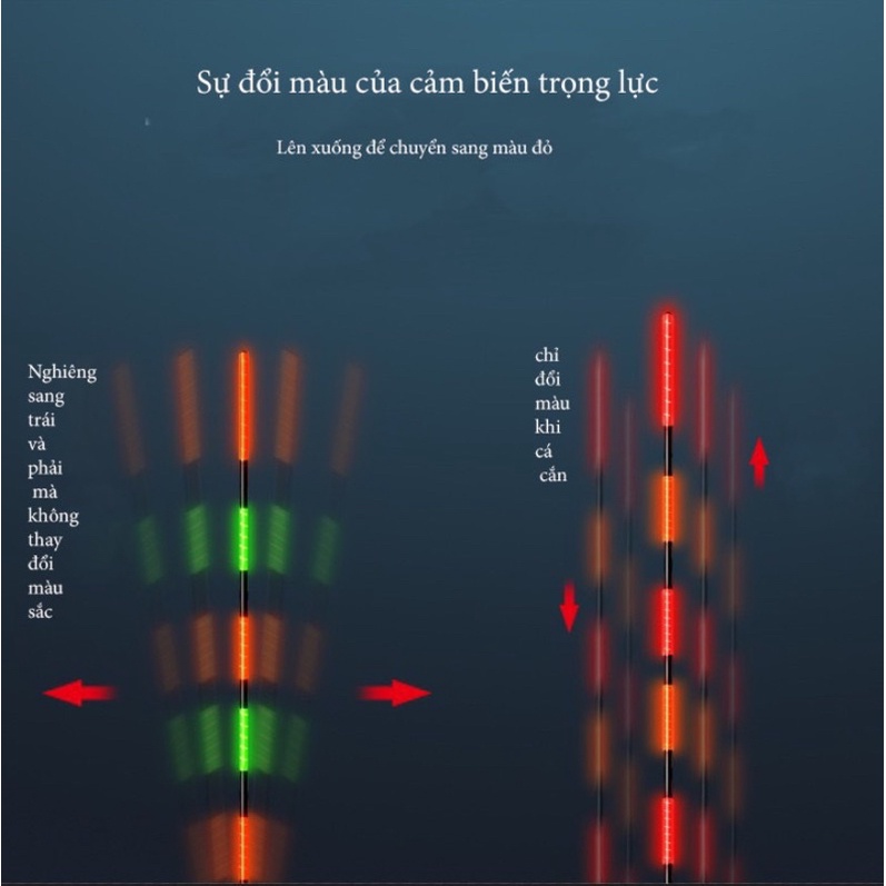 Phao đổi màu ngọn nâng cấp -FW Cảm biến trọng lực