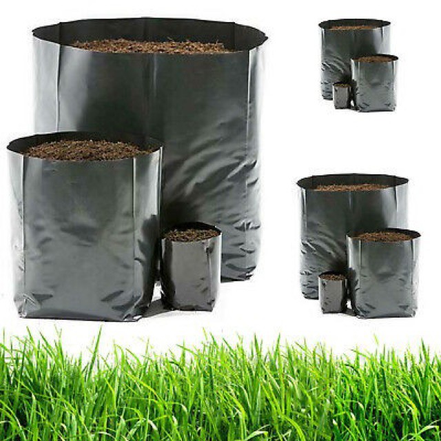 Túi bầu ươm cây giống 6x18cm ( 1kg ) giá rẻ