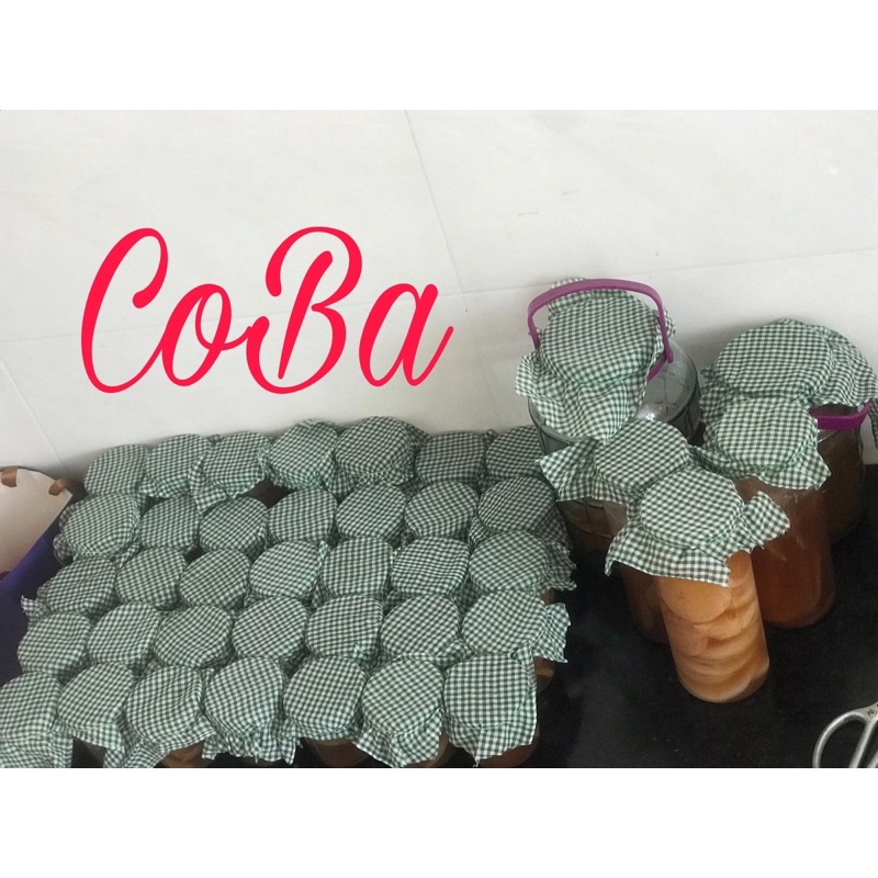 con giống kombucha/ scoby: 2 scoby+150ml nước mồi+trà và đường nuôi | BigBuy360 - bigbuy360.vn