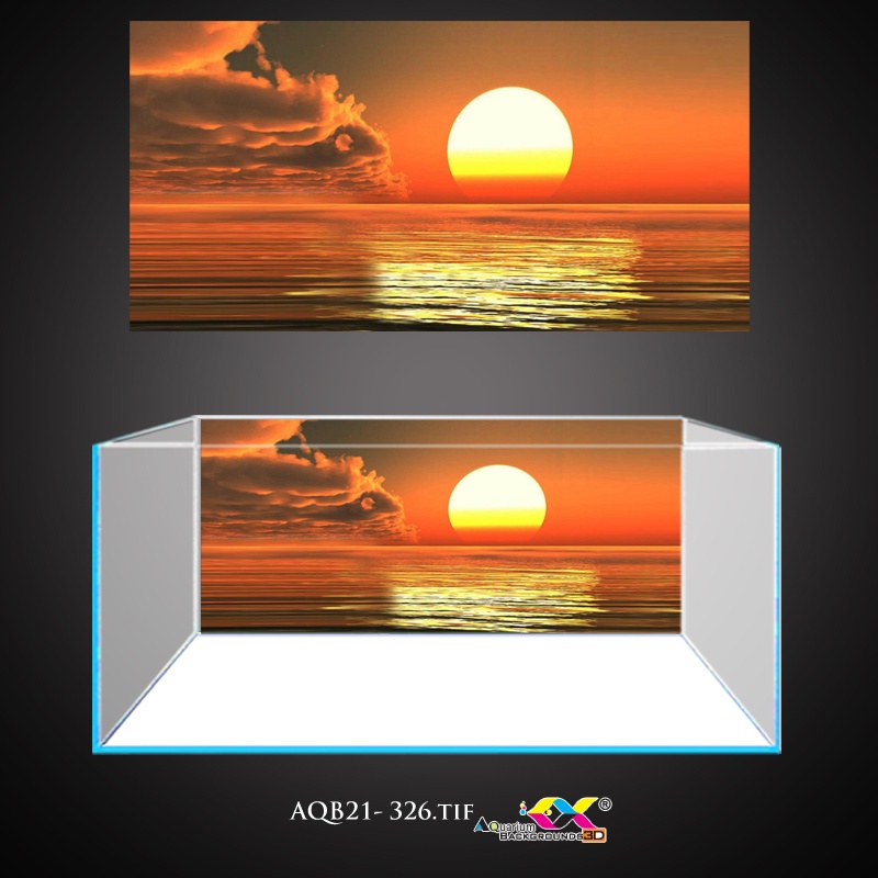 Tranh 3D dán hồ cá - bể thuỷ sinh mẫu mặt trời cực đẹp , có keo sẵn trên bề mặt, đa dạng KT (AQB21-326)