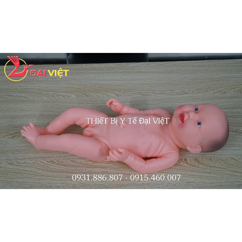 Mô hình trẻ sơ sinh