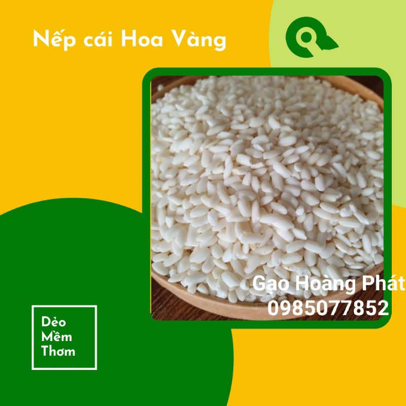 Nếp Cái Hoa Vàng - Túi 1kg.