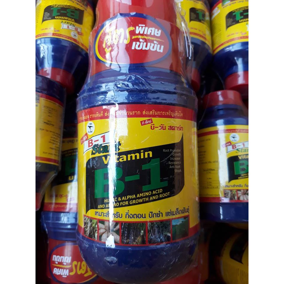 Vitamin B1 (Chai 500ml)