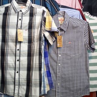 Áo Hollister bigsize 155k