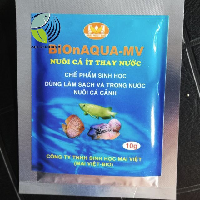 Men vi sinh Mai Việt - 10 mg