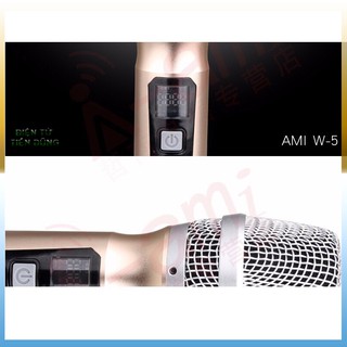 Micro Không Dây AMI W-5