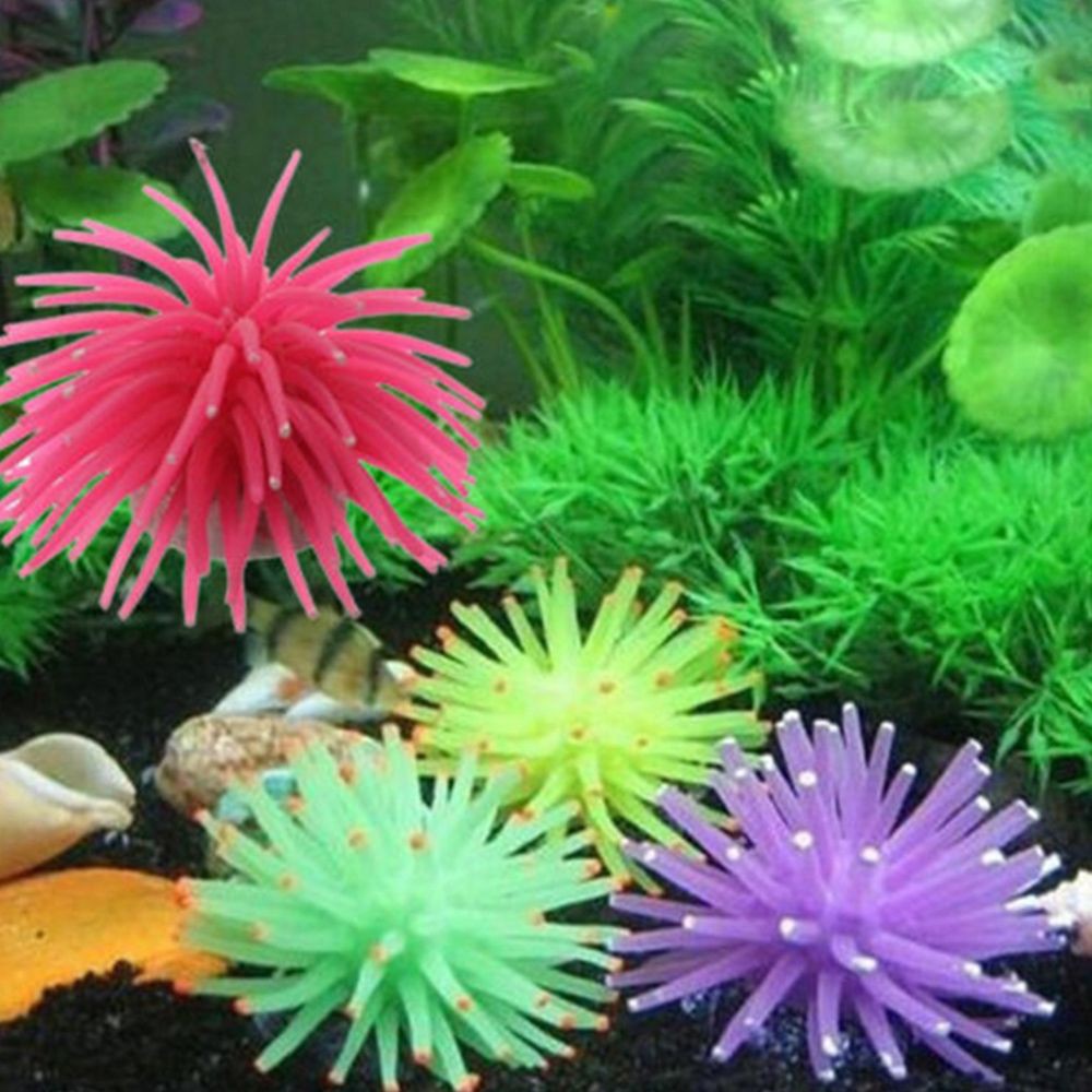 San hô giả dùng để trang trí bể nuôi cá cảnh có 6 màu lựa chọn