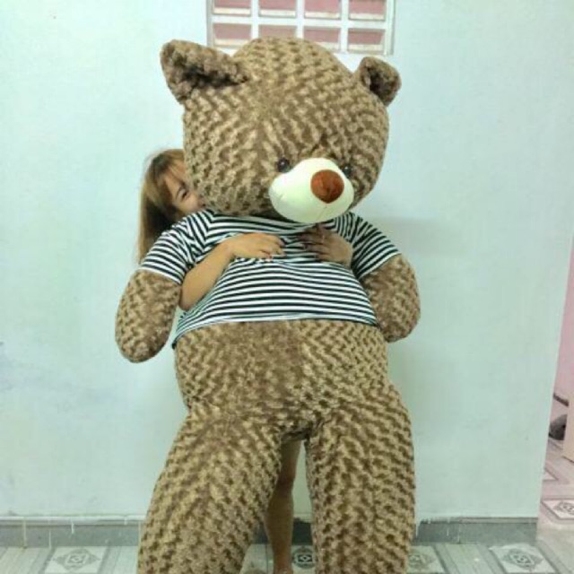 Tedy 2m2- Giá rẻ - ảnh thật