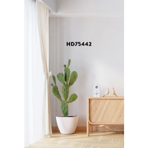 PHÔNG NỀN 3D CHỤP ẢNH