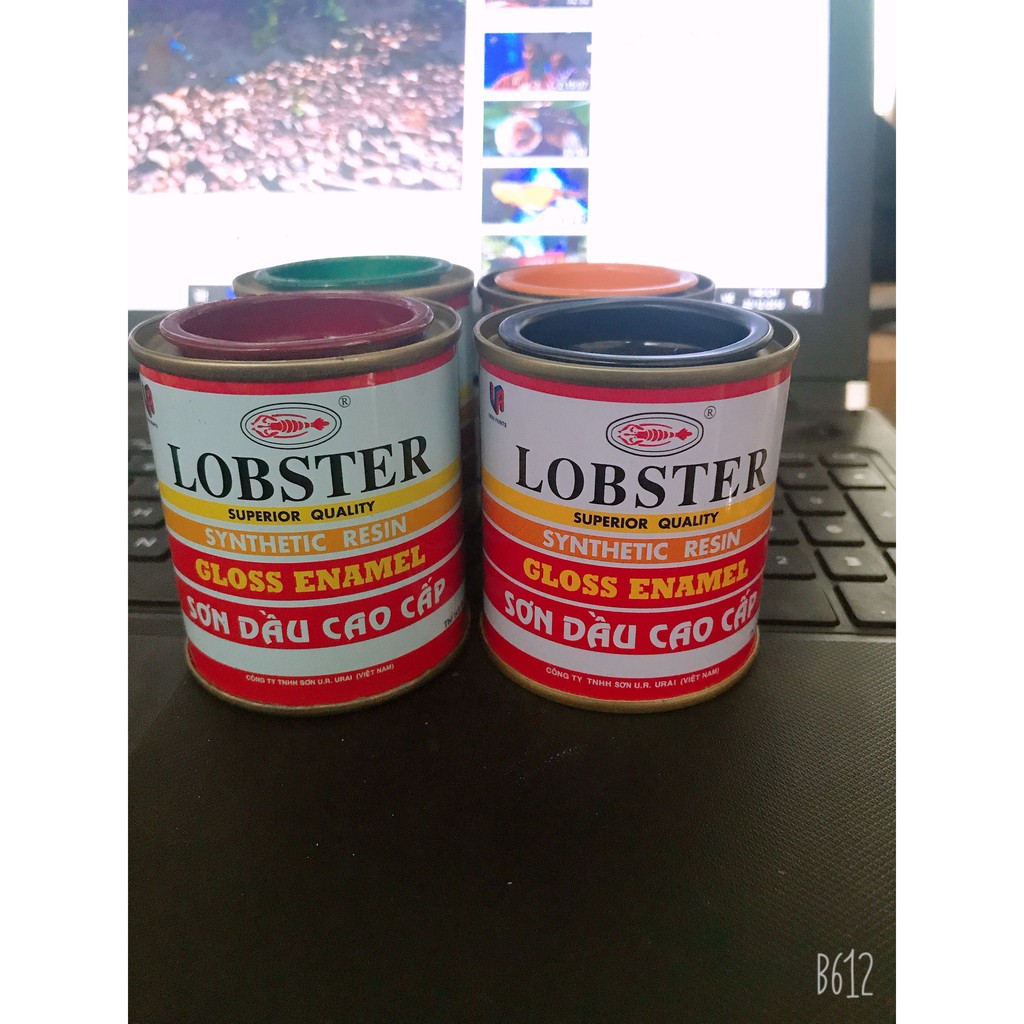 Sơn Dầu Cao Cấp LOBSTER Lọ Nhỏ Các Màu 100gr