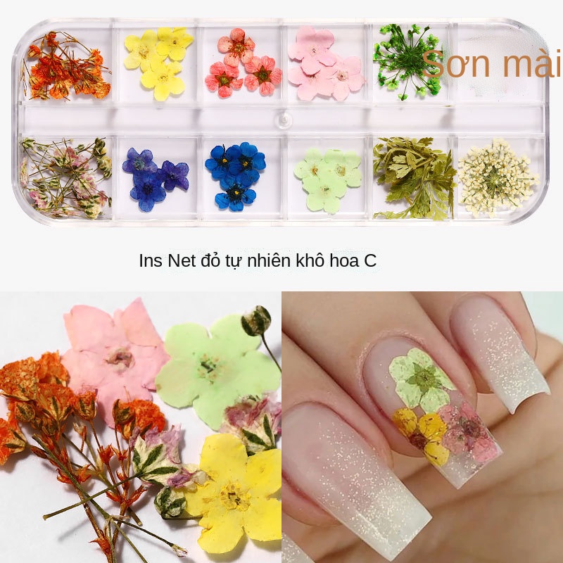 Hoa khô nail Làm nail dán móng tay