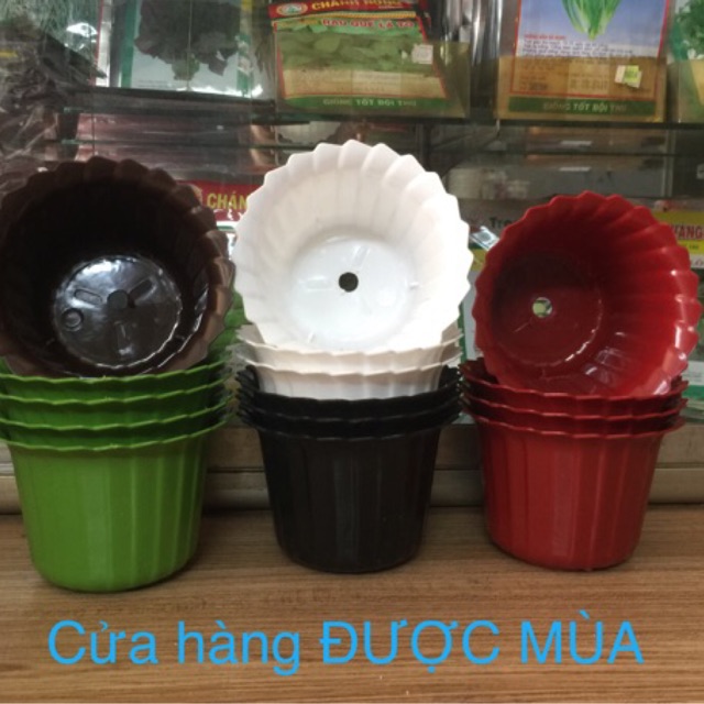 Chậu nhựa trồng hoa mini size 12 và 14cm