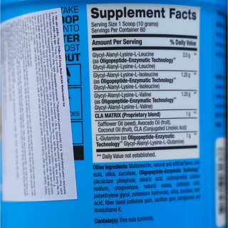 Thực Phẩm Bổ Sung BPI Best BCAA 60 Lần Dùng