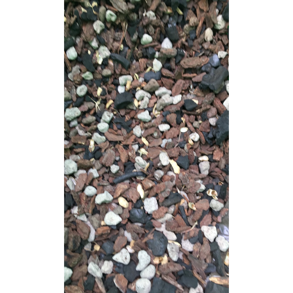 Giá thể trồng kiếm đã qua xử lý túi 4kg