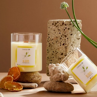 Nến thơm tinh dầu thiên nhiên candle cup/agaya | mùi bloom - hoa nhài