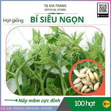 (25 hạt)Hạt giống bí siêu ngọn F1 dễ trồng năng suất cao chống sâu bệnh-Tổng kho hạt giống giá rẻ