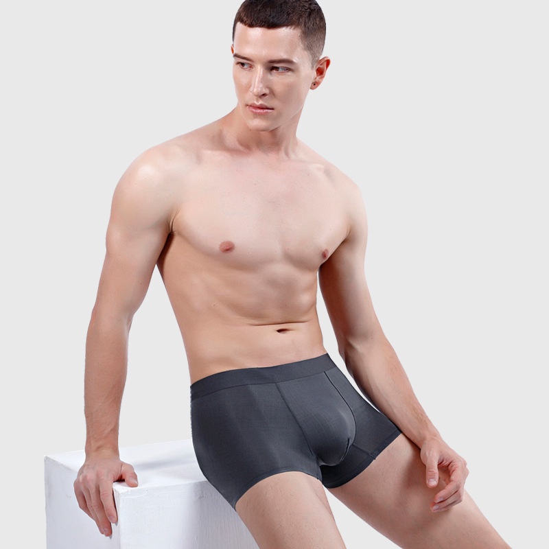 Sịp đùi- Quần Lót Nam Boxer Băng Lụa Kháng Khuẩn Siêu Thoáng Khí K118