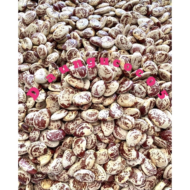 Đậu Ngự (Đậu Quyên) (1kg)