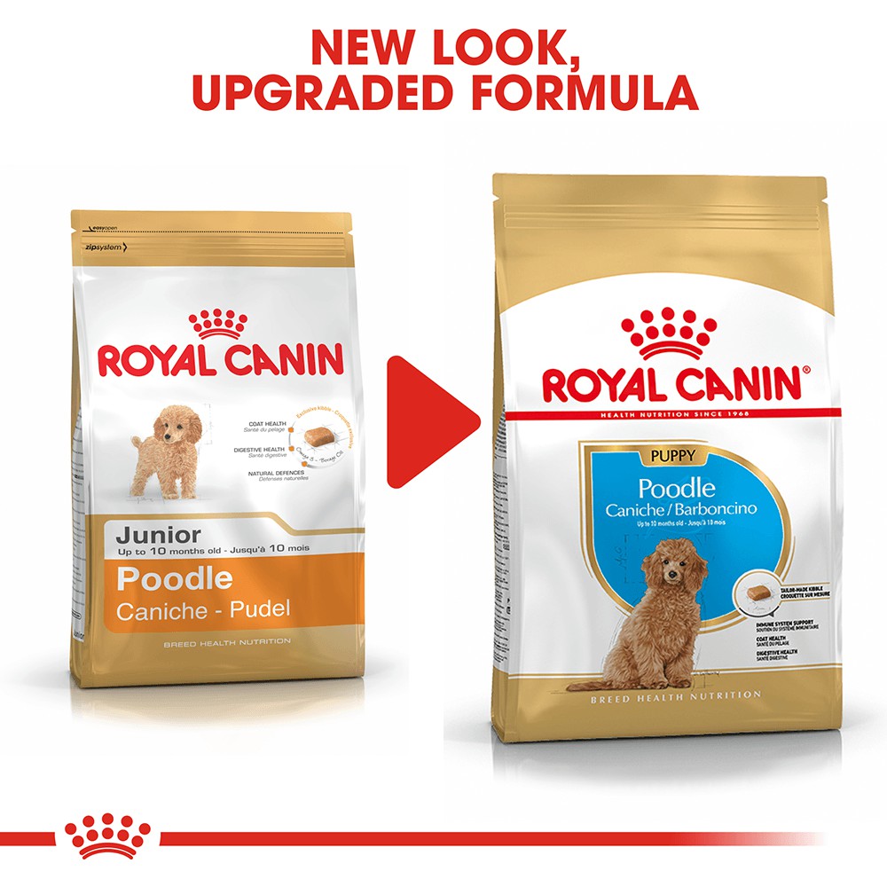 Thức Ăn Hạt Cho Chó Poodle Nhỏ Royal Canin Poodle Puppy - Lida Pet Shop