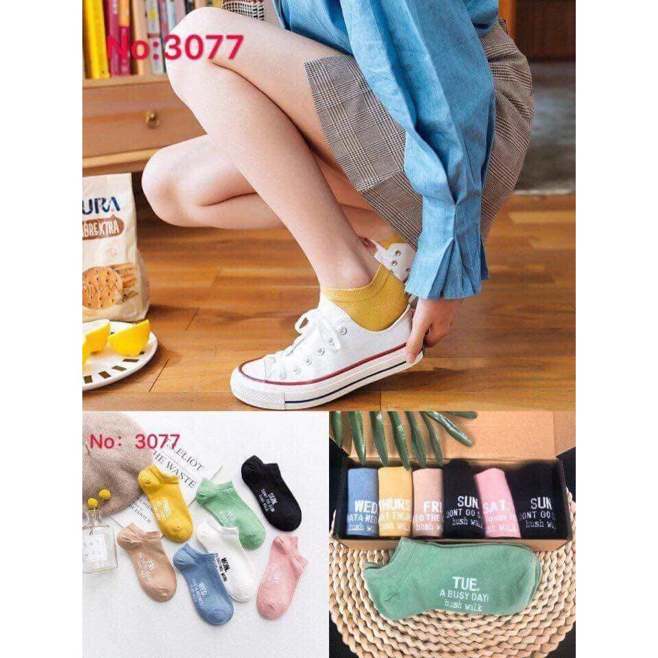 Hộp tất tuần 7 ngày