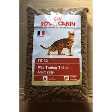 Thức Ăn Hạt Cho Mèo Royal Canin Fit 32 Cho Mèo Trưởng Thành