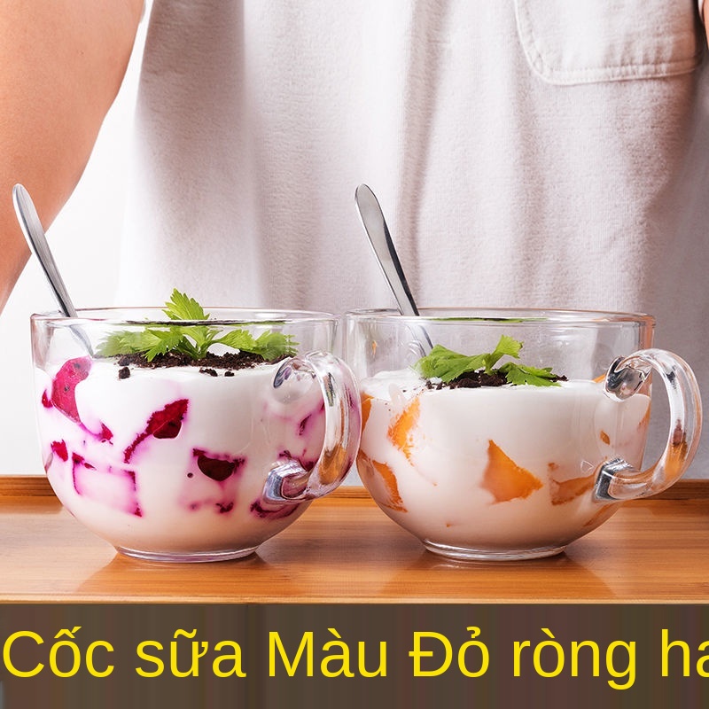 ♗Cốc ăn sáng thủy tinh dung tích lớn có nắp cốc sữa lớn cốc cháo cốc cà phê bột yến mạch với thìa cốc nước gia dụng