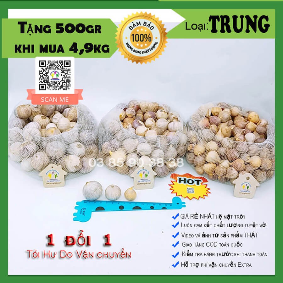 2 kg tỏi cô đơn Việt Nam loại TRUNG ngon lành, tỏi 1 nhánh Hải Dương, tỏi mồ côi bón phân sinh học cực tốt cho sức khỏe