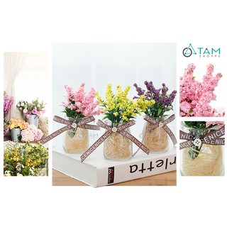 Chậu hoa nhỏ để bàn Lavender số 77