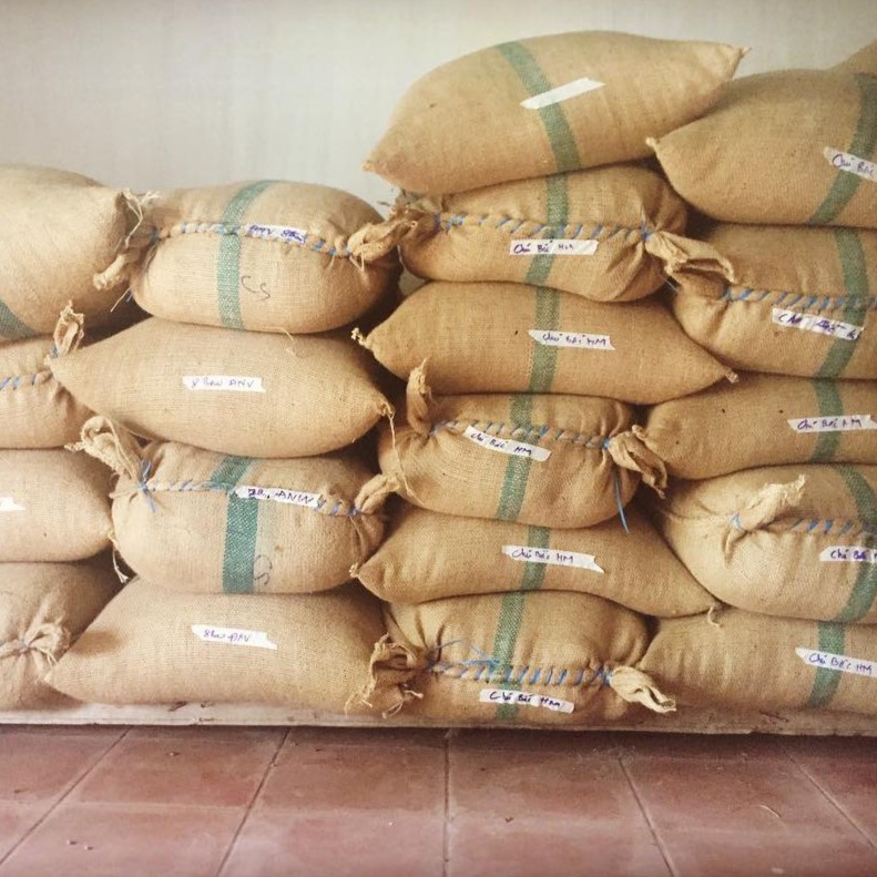 500g Cà Phê Arabica Đà Lạt (500gram/bịch) | BigBuy360 - bigbuy360.vn