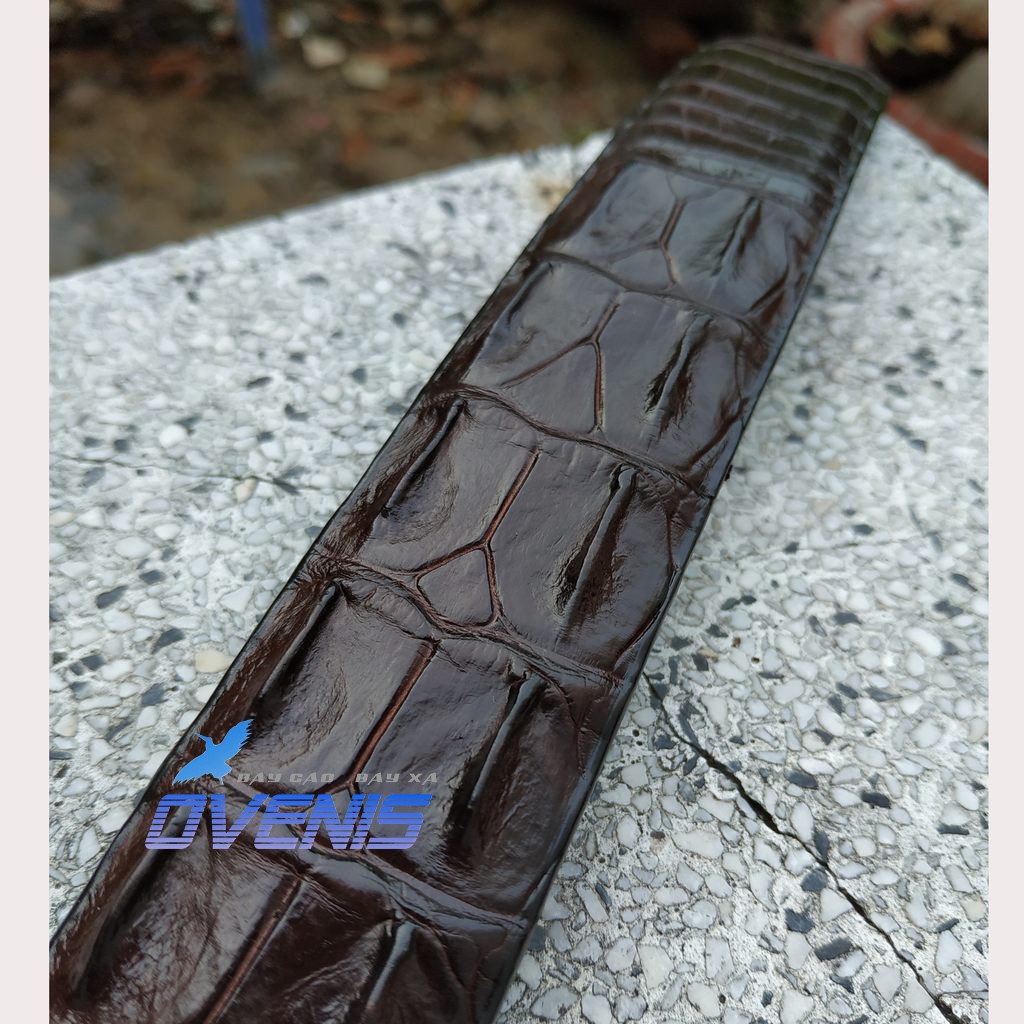 Thắt Lưng Nam Da Cá Sấu. Gai Lưng Rất Đẹp!