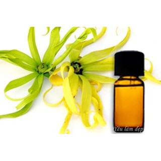 Tinh dầu Ngọc Lan Tây Extra (Ylang - Ylang extra)