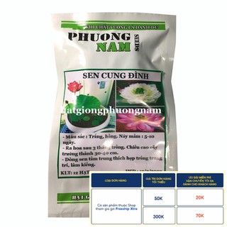 12H - HẠT GIỐNG HOA SEN CUNG ĐÌNH