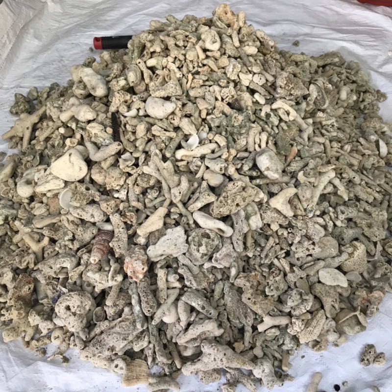 San hô vụn lọc nước cho hồ cá gói 1kg