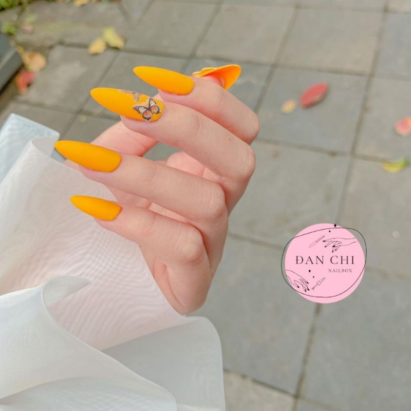 NailBox móng úp thiết kế sẵn Mẫu Cam Charm Bướm