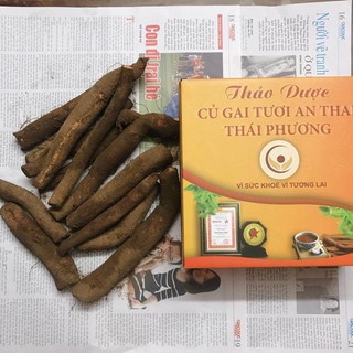 Củ gai tươi giúp an thai 1kg