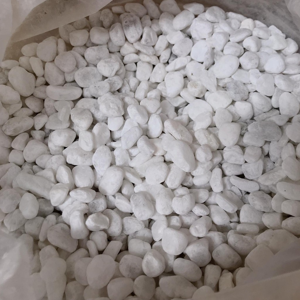 Sỏi trắng trải nền bể cá 1kg