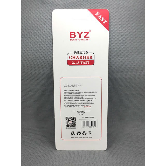 Củ sạc BYZ ZL-719