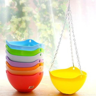 Sale off Combo 10 chậu treo sóng + 10 chậu treo bí cực đẹp.