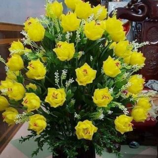 Bộ nguyên liệu làm chậu hoa tulip cao thượng