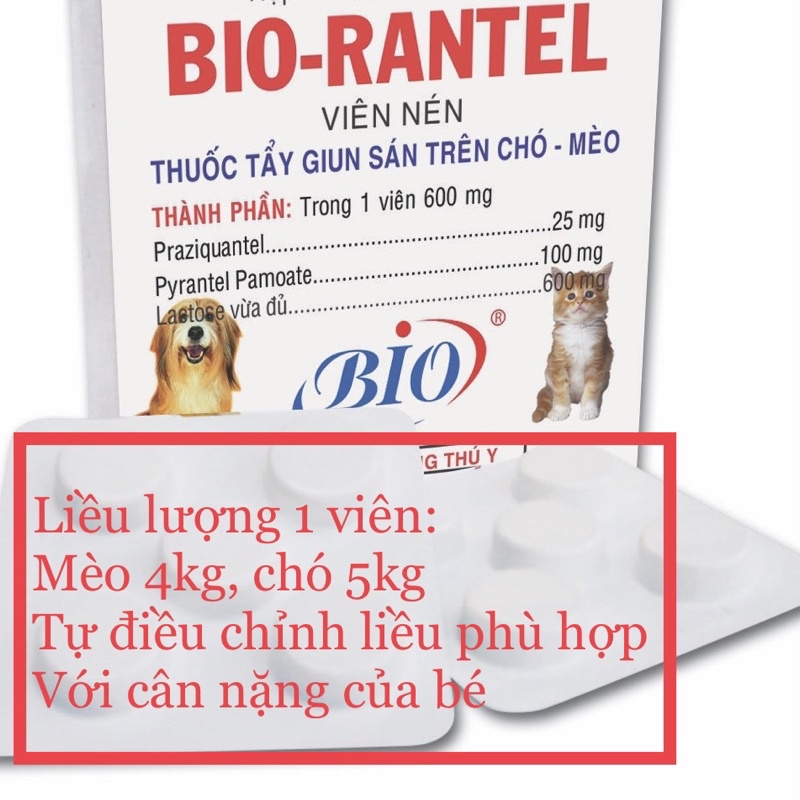 Men Tiêu Hóa Bio 5g Cho Chó Mèo | Nhà Mèo Ngọt Petshop