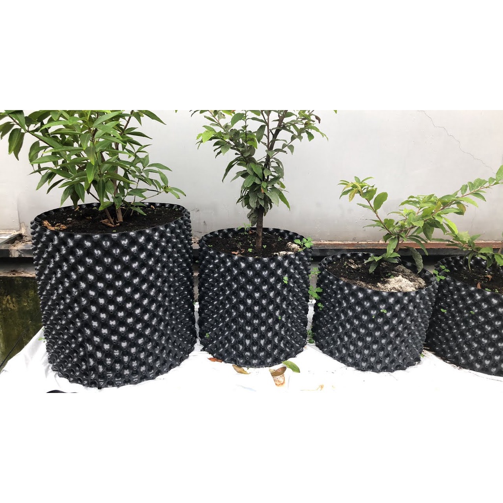 Bầu ươm thông minh V6 chất liệu nhựa PVC khổ cao 30cm