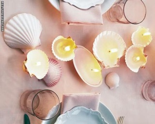 Vỏ sò  (sản phẩm hỗ trợ chụp ảnh)