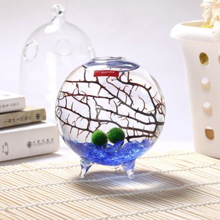 CẦU TẢO MARIMO 2,5CM - 1 Con/ gói