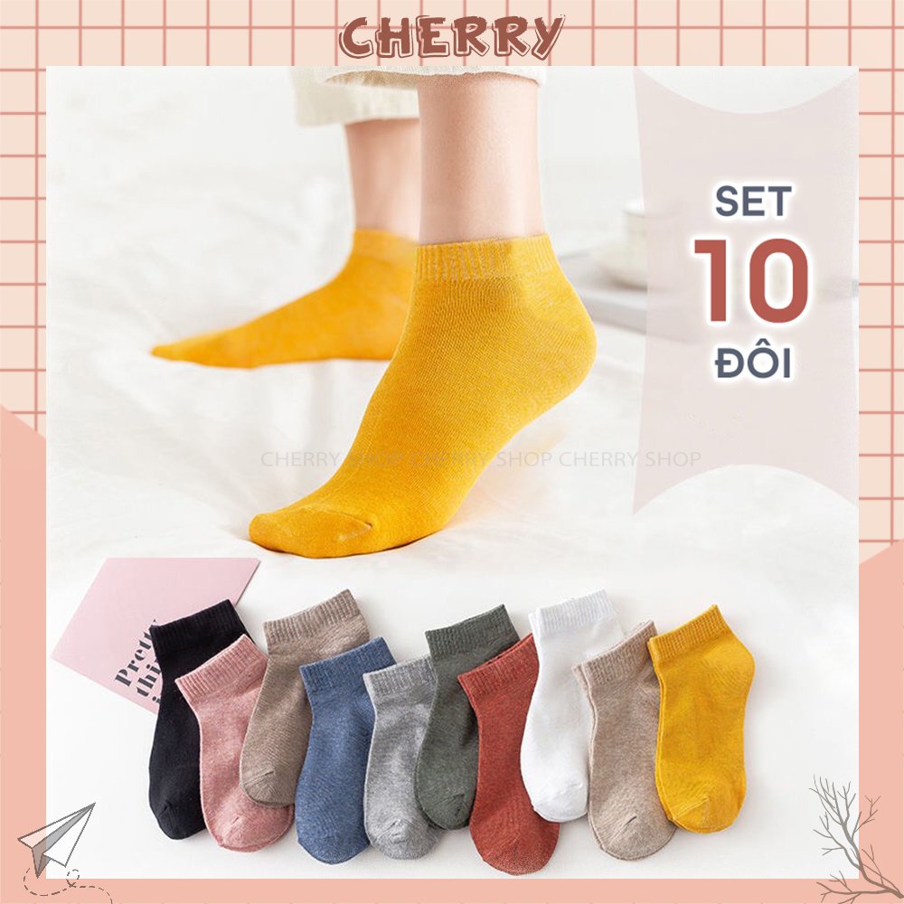 Tất cổ ngắn nữ sét 10 đôi gấu phong cách Hàn Quốc, vớ nữ chất liệu cotton thoáng mát- Cherry Shop